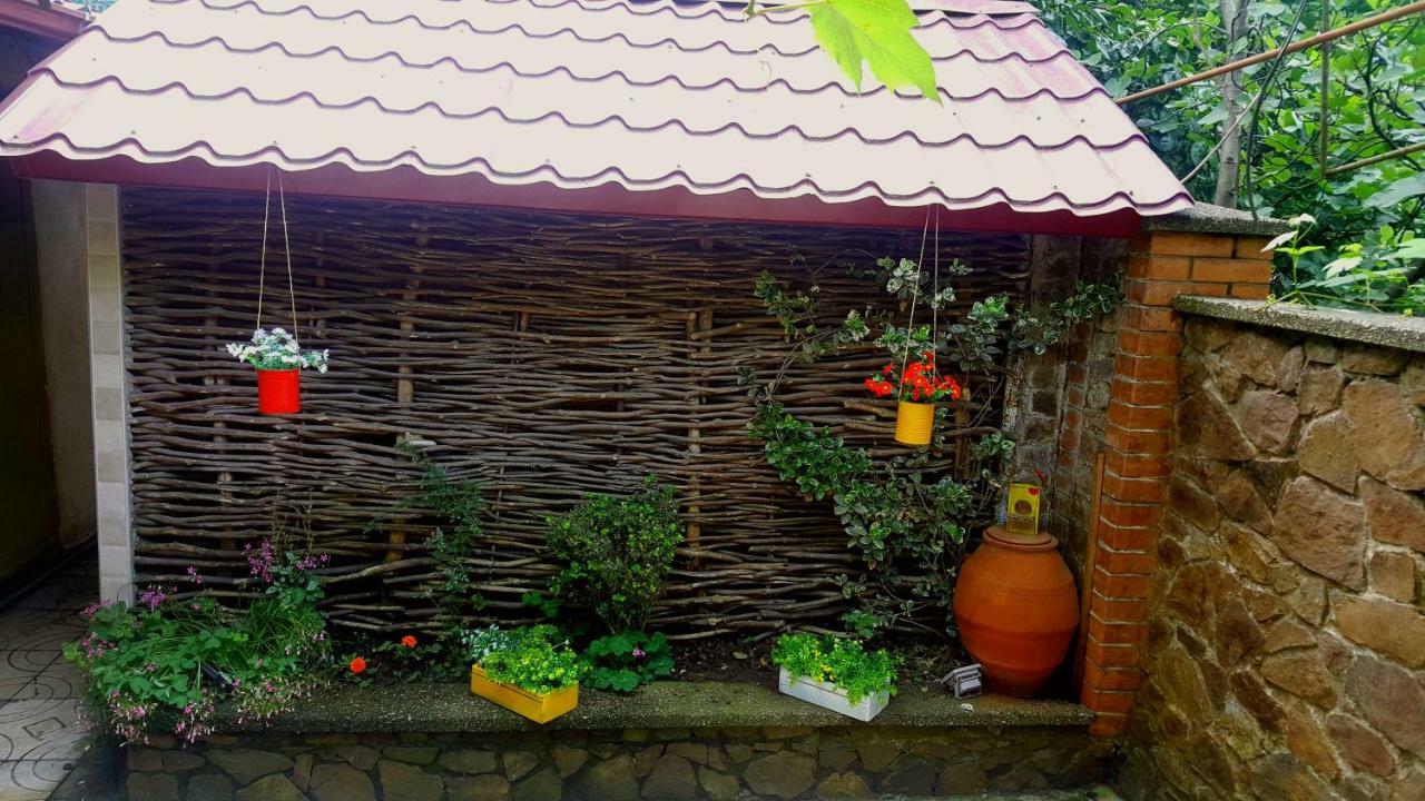 Green House In Batumi Exterior foto